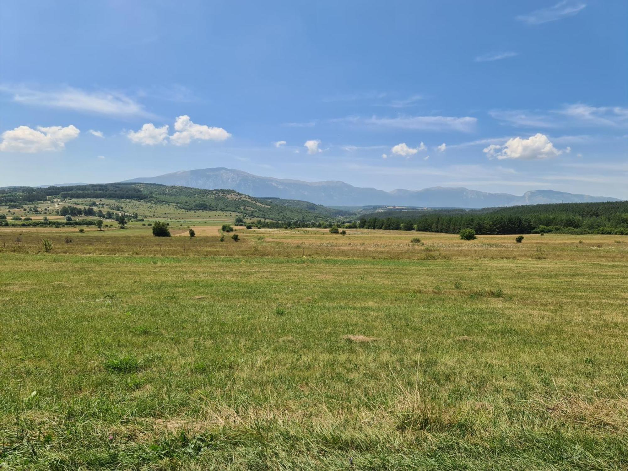 Dora Daire Livno Dış mekan fotoğraf
